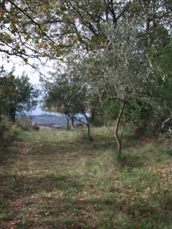 Poggio Del Conero别墅 外观 照片